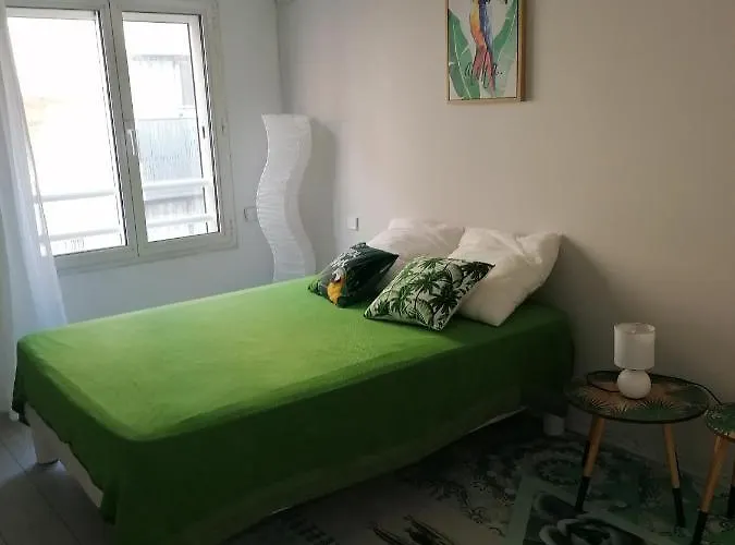 Triangle D'or Raphael 公寓 Saint-Raphaël